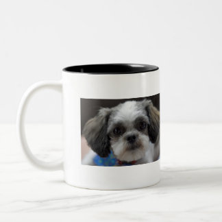 OH SHIH TZU är det kaffe Time Två-Tonad Mugg
