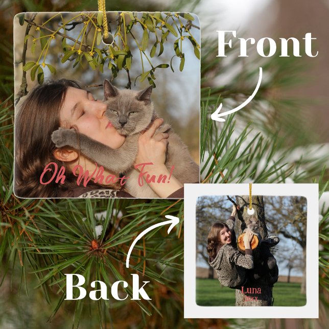 Oh What Roligt Funny Pet-julen Julgransprydnad Keramik (Skapare uppladdad)