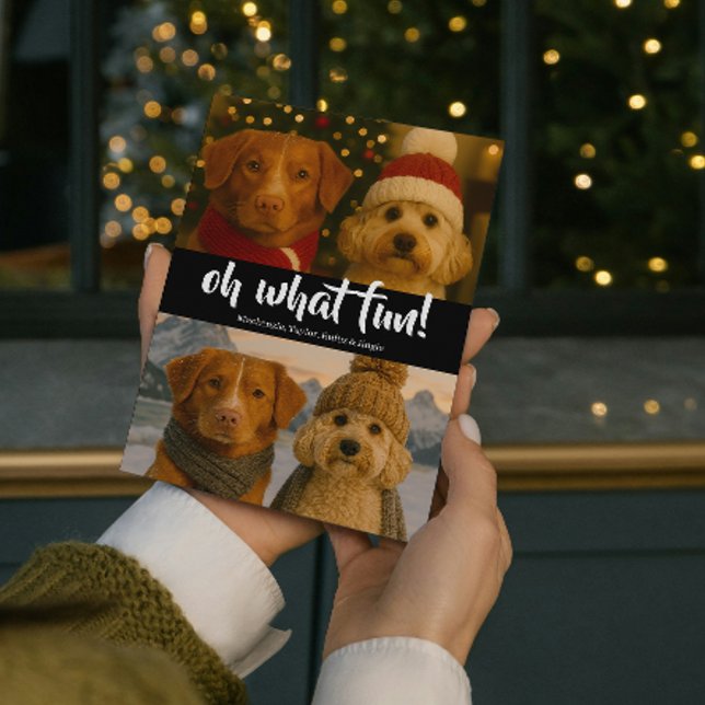 Oh What Roligt Photo Personlig Julkort (Oh What Fun Photo Christmas Personalized Holiday Card by Ricaso. Christmas light pattern on back)