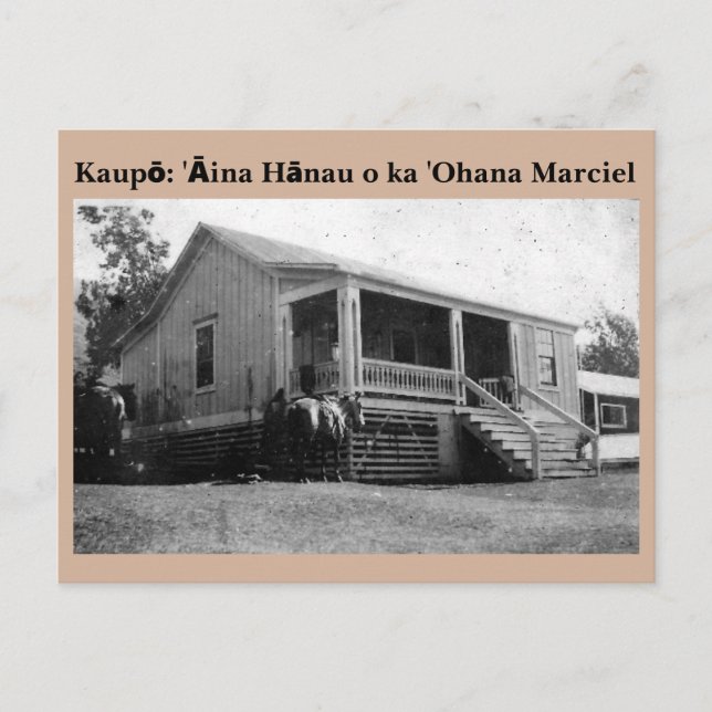 Ohana Marciel Postcard Vykort (Framsida)