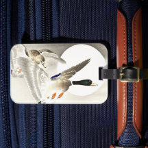 Ohara Koson Japanska två Ankor i full morgon