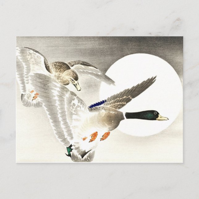 Ohara Koson Japanska två Ankor i full morgon Vykort (Framsida)