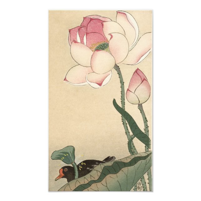 Ohara Koson, Lotus Flower - Japansk Art Fototryck (Framsidan)