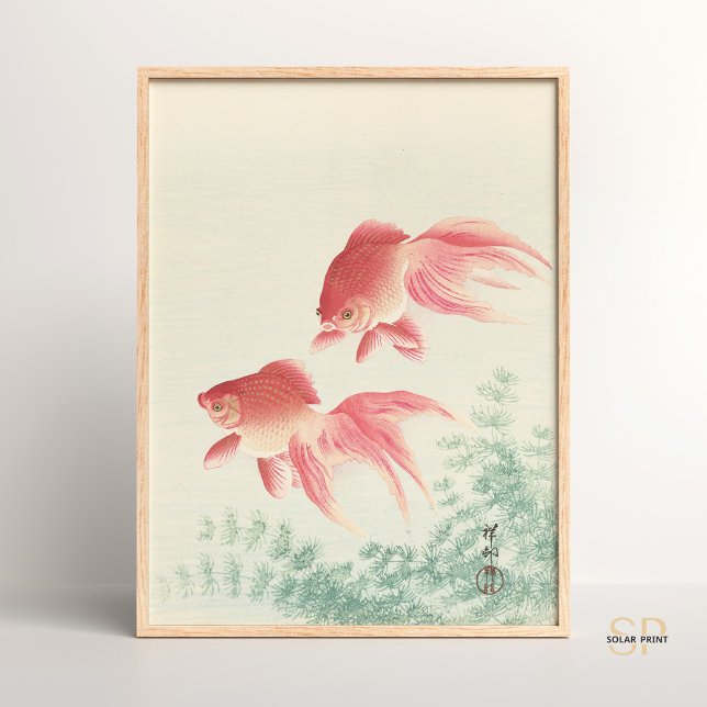 Ohara Koson Two Goldfish and Waterweed Japansk Poster (Skapare uppladdad)