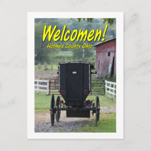 OHCA101.Amish Buggie - Holmes Co OH. Vykort
