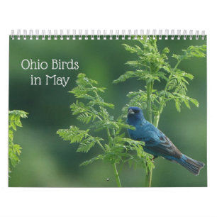 Ohio Birds i maj Kalender