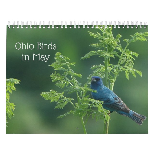 Ohio Birds i maj Kalender (Omslag)
