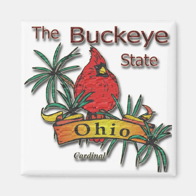 Ohio Buckeye Kardinal Magnet (Framsidan)
