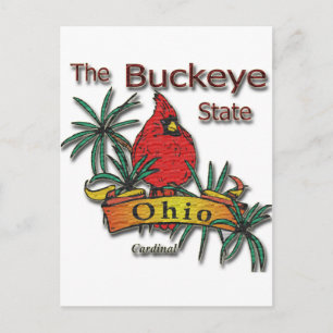 Ohio Buckeye Kardinal Vykort