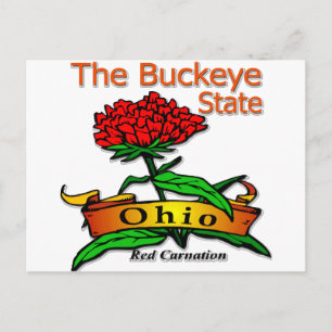 Ohio Buckeye State Red Carnation Vykort