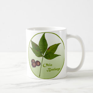 Ohio Buckeye Träd Kaffemugg