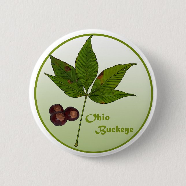 Ohio Buckeye Träd Knapp (Framsida)