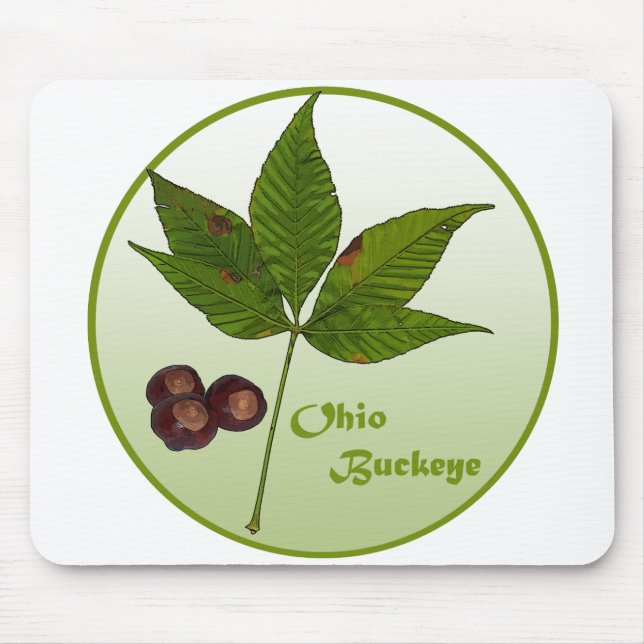 Ohio Buckeye Träd Musmatta (Framsidan)