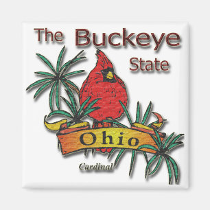 Ohio Buckeyekardinal Magnet
