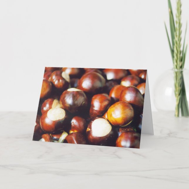 Ohio Buckeyes Kort (Framsida)