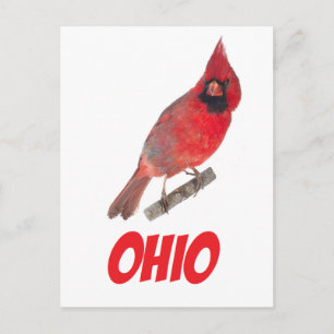 Ohio Cardinal Vykort
