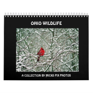 OHIO DJURLIV CALENDAR-A KALENDER