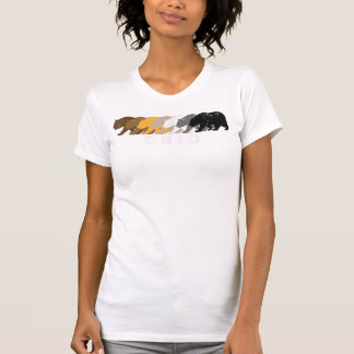 Ohio Gay Bear Distress T Shirt