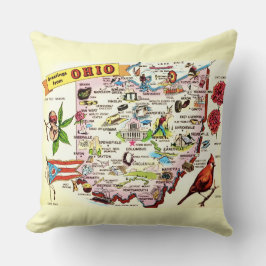 Ohio Hälsningar Kudde