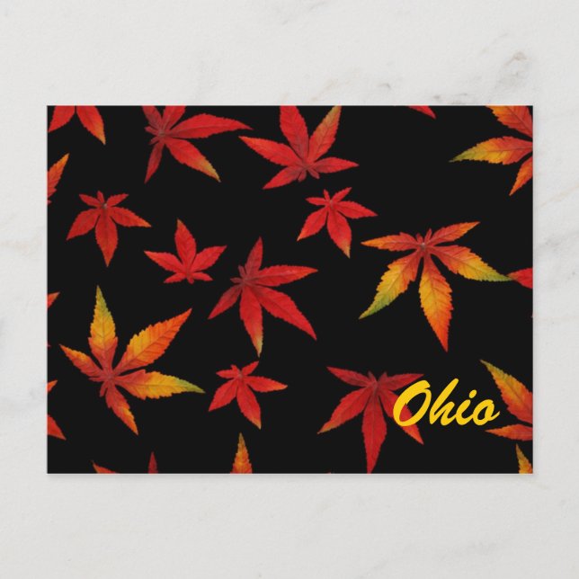 Ohio Höst löv vykort (Framsida)