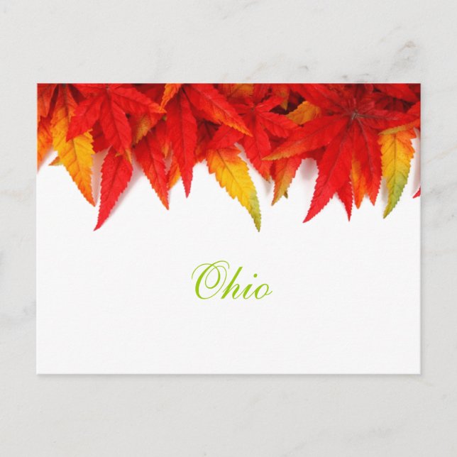 Ohio höstlöv vykort (Framsida)