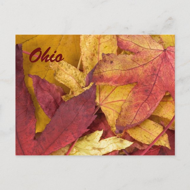 Ohio höstlöv vykort (Framsida)