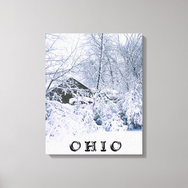 OHIO IN WINTER 2020 CANVASTRYCK (Framsida)