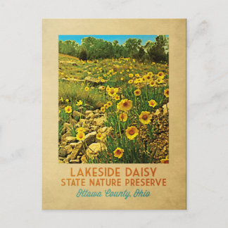 Ohio Lakeside Daisy Preserve Vykort