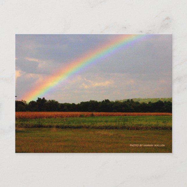 Ohio Rainbow Vykort (Framsida)