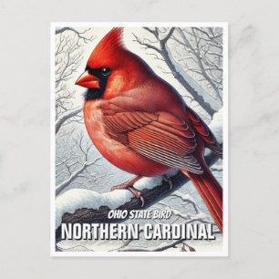 Ohio State Bird Northern Kardinal Vykort