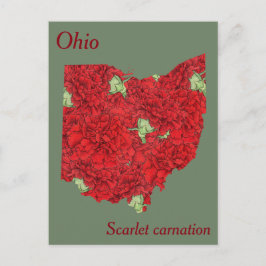 Ohio State Flower Collage Karta Vykort