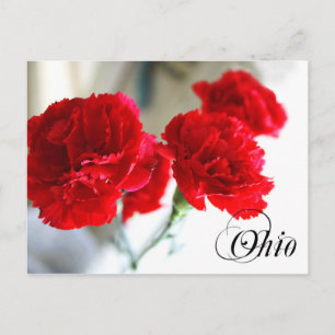 Ohio State Flower: Red Carnation Vykort