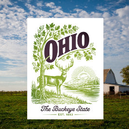Ohio The Buckeye State Est. 1803 Travel Vykort
