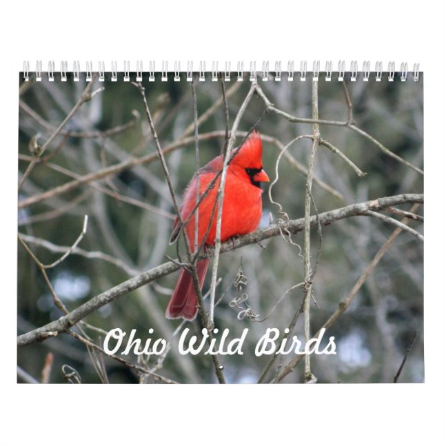 Ohio Vild Birds Kalender (Omslag)