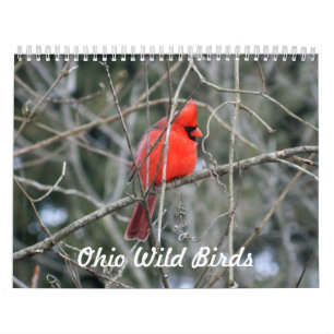 Ohio Vild Birds Kalender