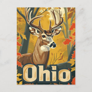 Ohio Vitstjärtad hjort Vykort