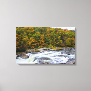 Ohiopyle Falls, Pennsylvania Canvastryck