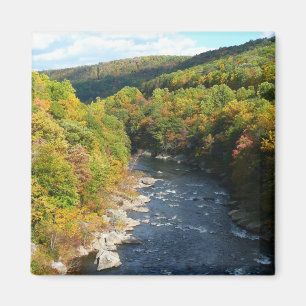Ohiopyle River in Fall I Pennsylvania Hösten Magnet