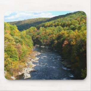 Ohiopyle River in Fall I Pennsylvania Hösten Musmatta