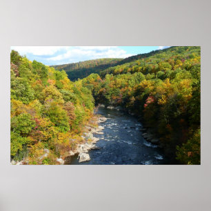 Ohiopyle River in Fall I Pennsylvania Hösten Poster