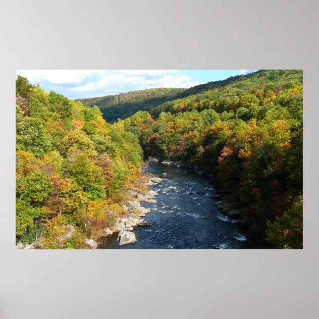 Ohiopyle River in Fall I Pennsylvania Hösten Poster (Framsidan)