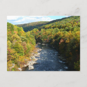 Ohiopyle River in Fall I Pennsylvania Hösten Vykort