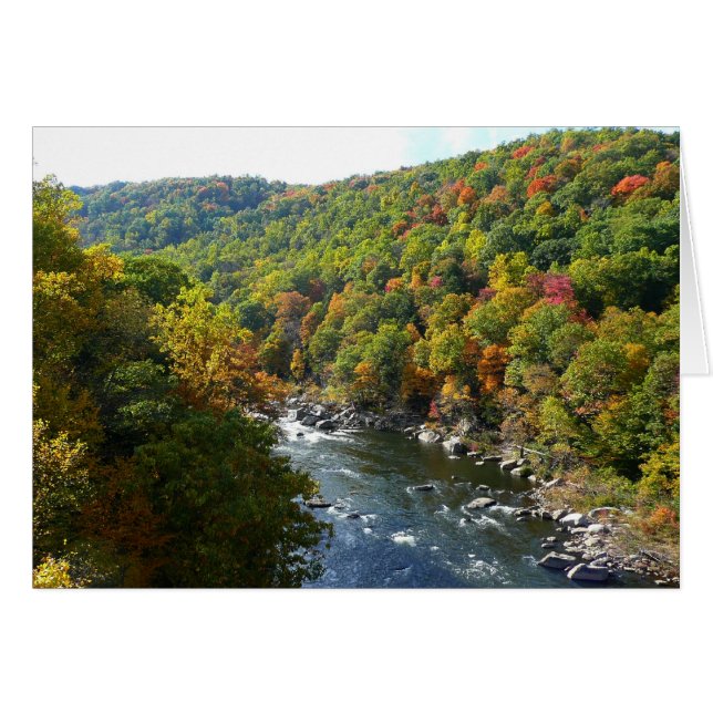Ohiopyle River in Fall II Pennsylvania Autumn Hälsningskort (Framsidan Horizontal)