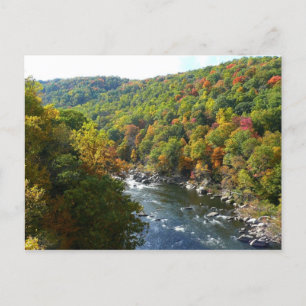 Ohiopyle River in Fall II Pennsylvania Autumn Vykort