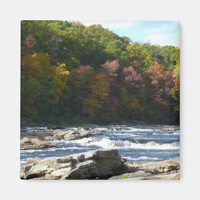 Ohiopyle River Rapids in Fall Pennsylvania Autumn Magnet (Framsidan)