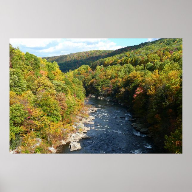 Ohiopylefloden på hösten I Pennsylvania Höst Poster (Framsidan)