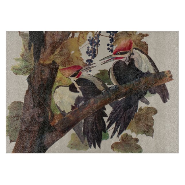 Ohn James Audubon Höghackad Hackspett Fågeltryck (Framsidan)