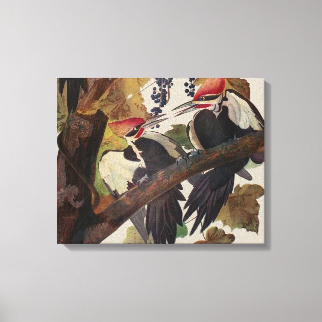 Ohn James Audubon Höghackad Hackspett Fågeltryck Canvastryck (Framsida)