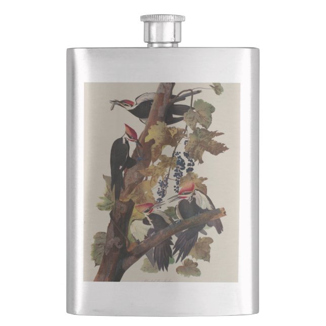Ohn James Audubon Höghackad Hackspett Fågeltryck Fickplunta (Framsidan)