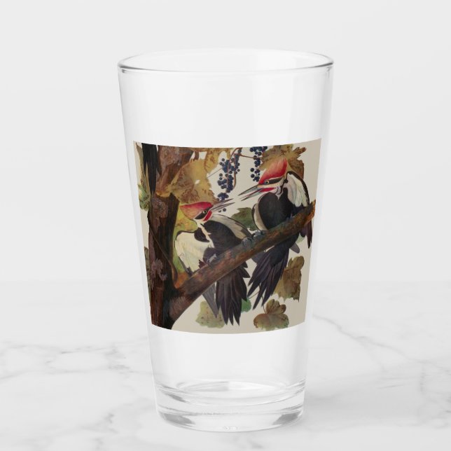 Ohn James Audubon Höghackad Hackspett Fågeltryck Glaskopp (Framsida)